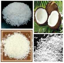 Desiccated Coconut Powder